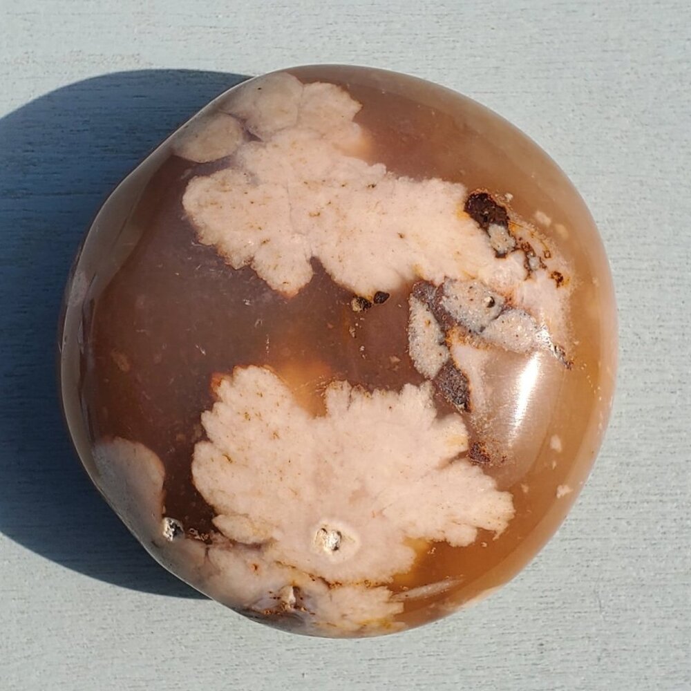 Flower Agate Palm Stone (I)